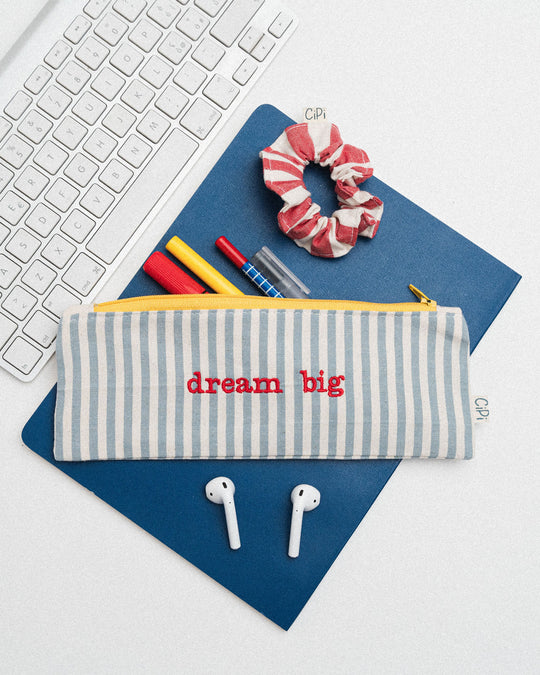 righe piccole azzurre - ricamo rosso