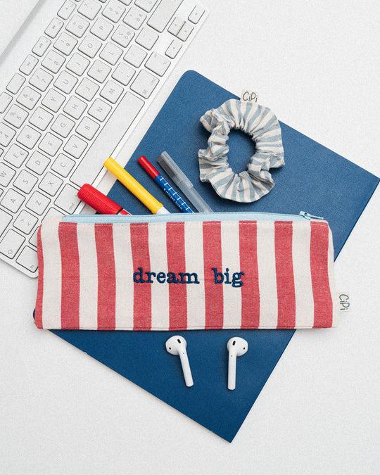 righe grandi rosse - ricamo blu