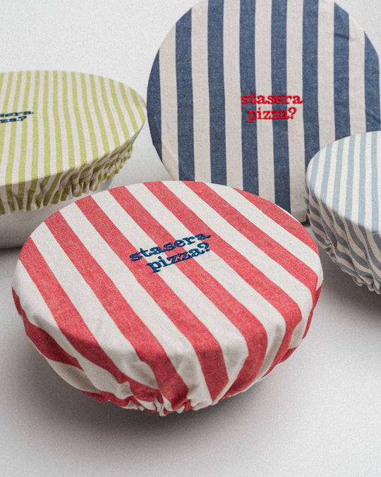 righe grandi rosse - ricamo blu