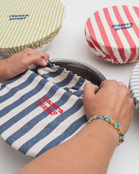 righe grandi blu - ricamo rosso