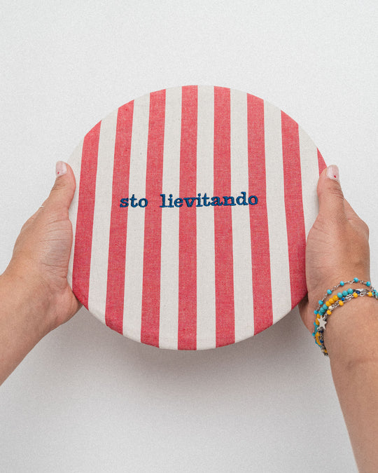 righe grandi rosse - ricamo blu