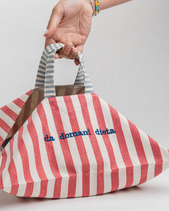 righe grandi rosse - ricamo blu