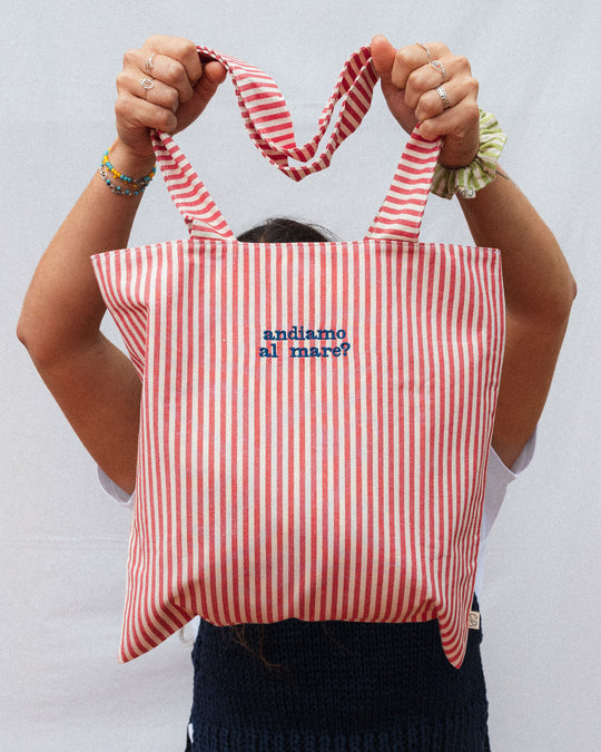 righe piccole rosse - ricamo blu