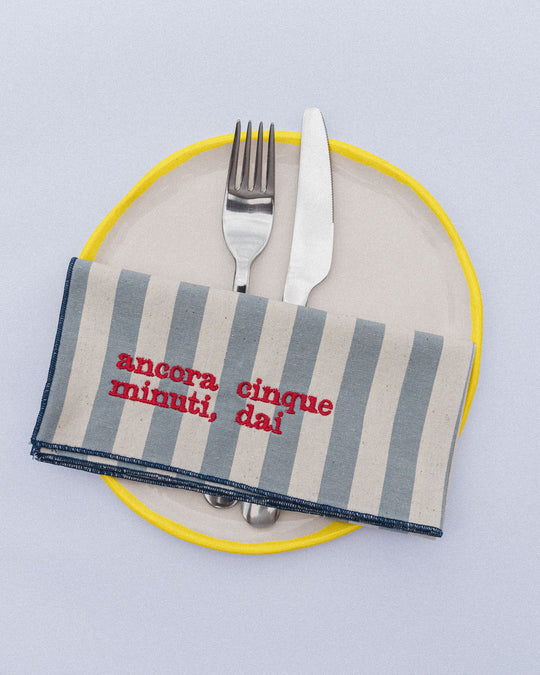 righe grandi azzurre - ricamo rosso