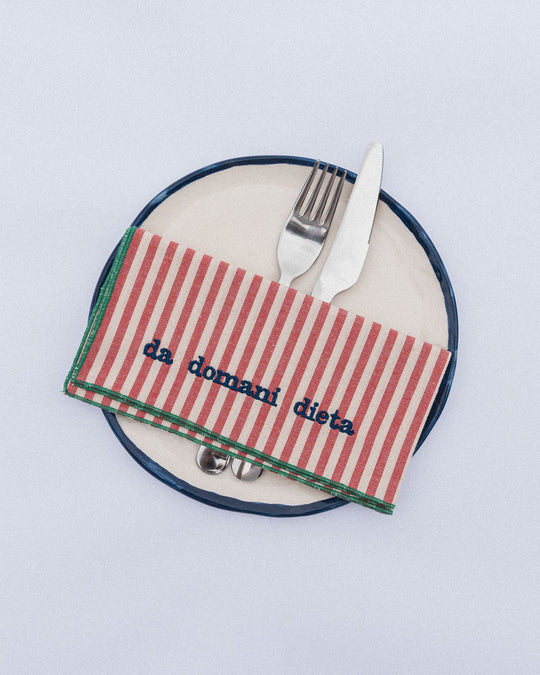 righe piccole rosse - ricamo blu