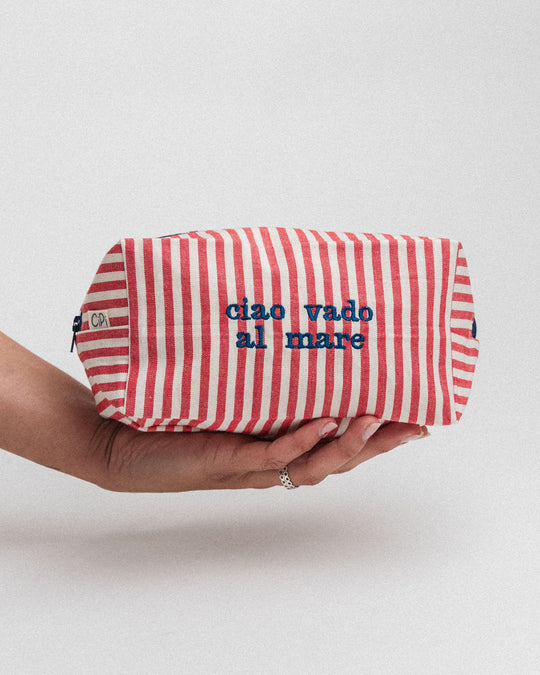 righe piccole rosse - ricamo blu