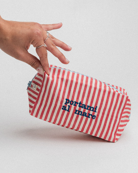 righe piccole rosse - ricamo blu