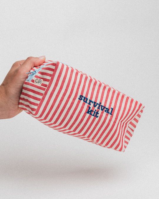 righe piccole rosse - ricamo blu